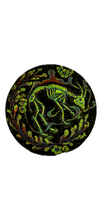 an image of a skeleton on a black background