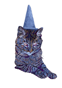 a cat wearing a witch hat on a black background