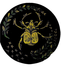a yellow beetle on a black background